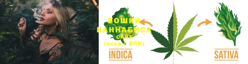 дарнет шоп  Дигора  Шишки марихуана SATIVA & INDICA 